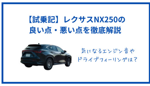 【試乗記】レクサス新型NX250の気になる振動・エンジン音とは？